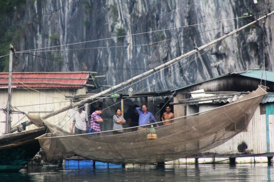 Halong-Bucht - Die Halong-Bucht  ist ein rund 1500 km² großes Gebiet im Golf von Tonkin in der Provinz Quang Ninh im Norden Vietnams. Nach offiziellen Angaben ragen 1969 Kalkfelsen, zumeist unbewohnte Inseln und Felsen, zum Teil mehrere hundert Meter hoch-