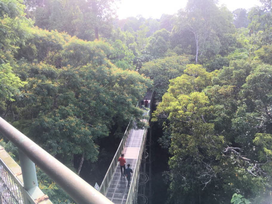 Das Rainforest Discovery Center (RDC) ist einer der am besten zugänglichen natürlichen Regenwälder in Sabah. Es liegt an einem See am Rande des Kabili-Sepilok-Waldreservats in Sandakan. RDC ist seit 1996 für Umweltbildungszwecke im Einsatz. Heute ist es eŽ