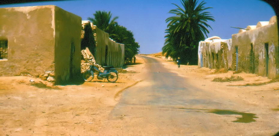 1976 Tunesien bei Zarzis - Zarzis ist eine Küstenstadt mit einem Zollfreihafen in Südost-Tunesien, am Mittelmeer. Die Einwohnerzahl liegt bei etwa 70.895 Einwohnern, davon lebten 24.900 in der Medina, der Altstadt.