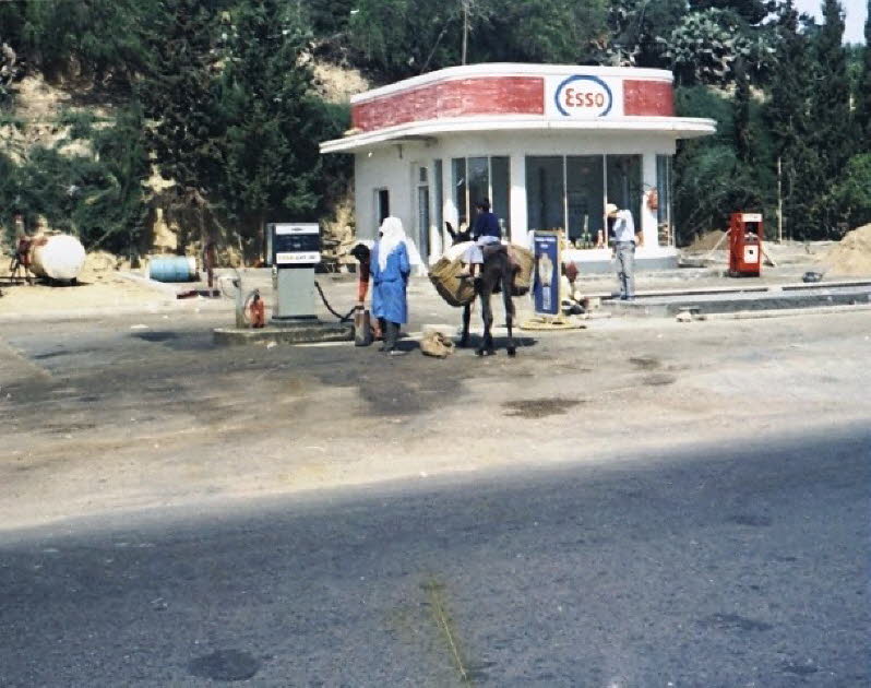 Esel an einer Tankstelle in Tunesien
