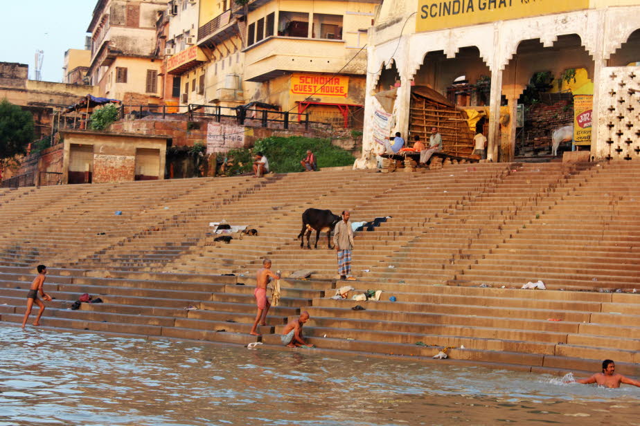 Varanasi: Morgen auf dem Ganges - Neben vielfachen profanen Verwendungsmöglichkeiten als Bootsanlegestellen, Bade- oder Waschplätze etc. sind Ghats ursprünglich wichtige Stellen für die rituellen Waschungen der Hindus; die Treppen halten freilaufende Tier