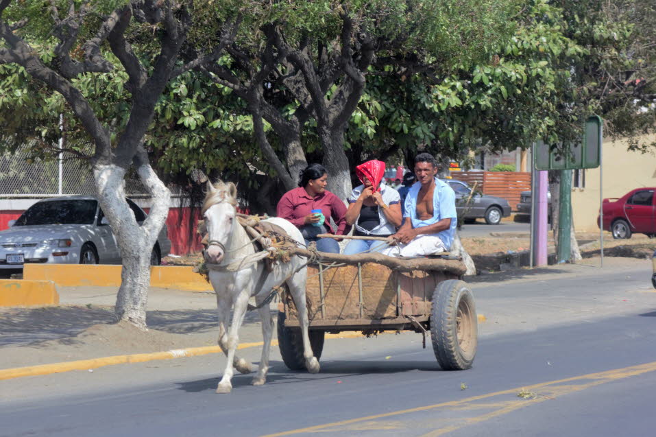Pferde-Gespanne sind auf den Straßen Nicaragua allgegenwärtig.