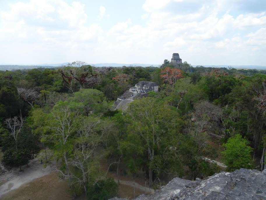 Tikal: Geschichte: Tikal scheint 700 v. Chr. gegründet worden zu sein, obwohl der Bau bereits 500 v. Chr. begann. Die Pyramiden in der Great Plaza wurden größtenteils um 100 v. Chr. fertiggestellt. Zu Beginn blieb die Stadt unter der Kontrolle von El Mira