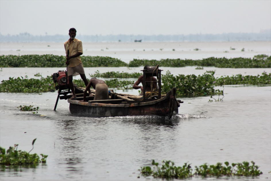 Boot in den Backwaters / Indien