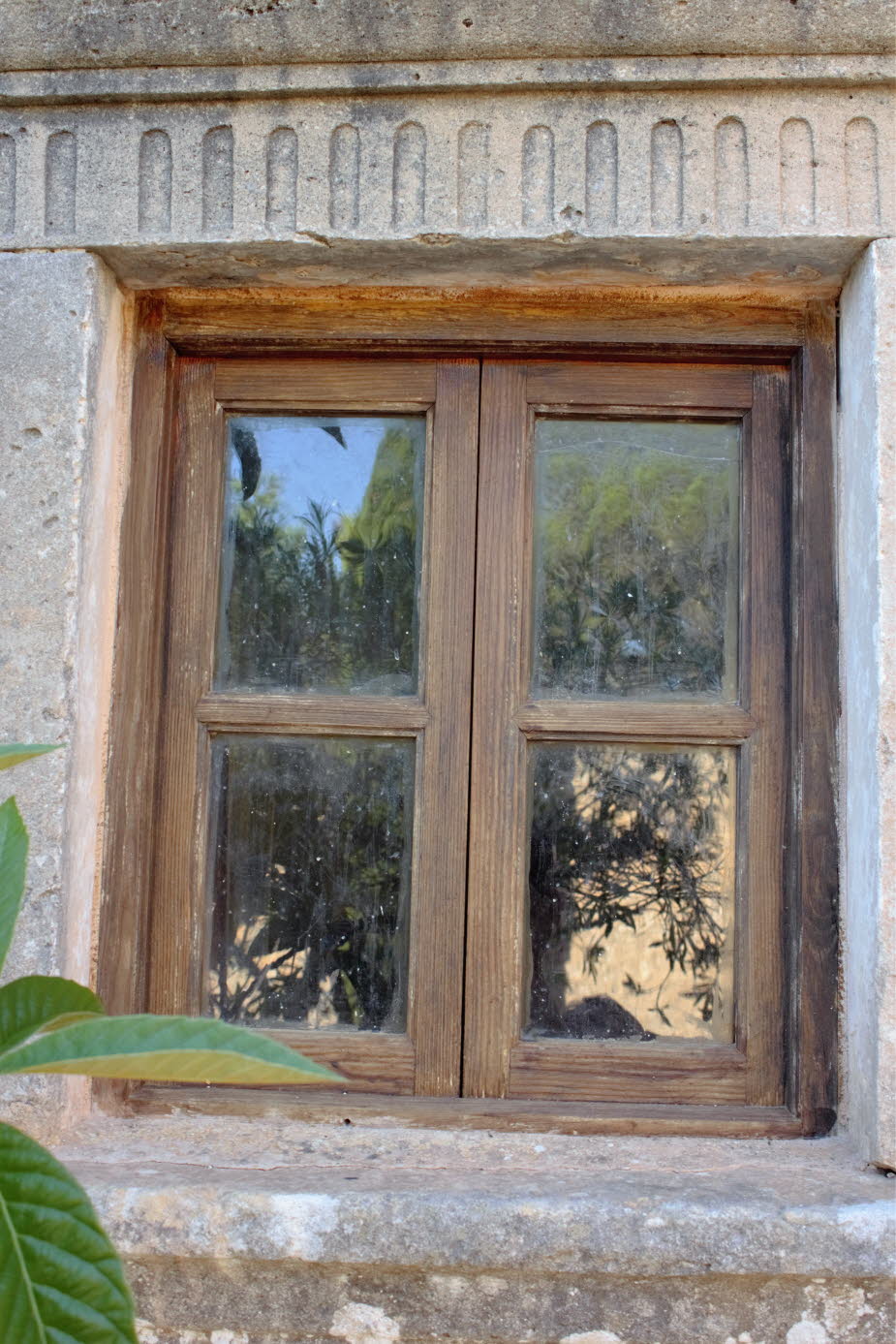 Altes Fenster mit gespiegelter Natur