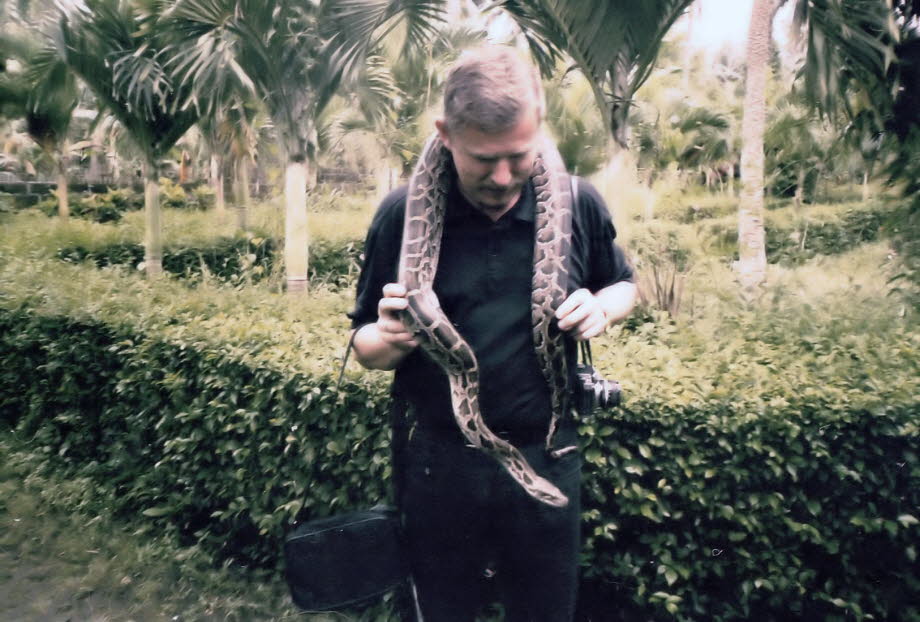 Pythonschlange auf Bali 