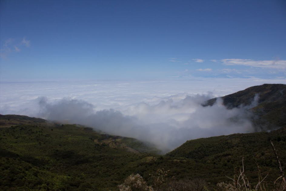 Cajas Nationalpark: Der Nationalpark Cajas liegt zwischen 3150 und 4445 Metern über dem Meeresspiegel im engsten Teil der Anden, wo sich das Zentrum des nördlichen Andenenendemismus befindet, sowohl für Flora als auch Fauna. Eine interessante Anekdote: Be