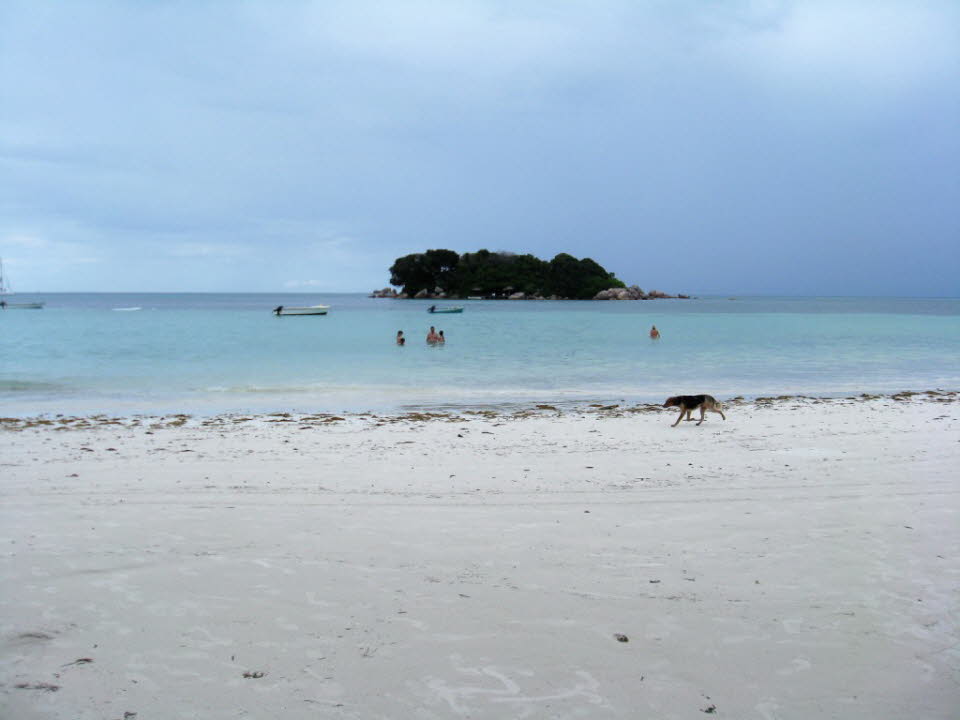 Anse Lazio auf Praslin, Seychellen