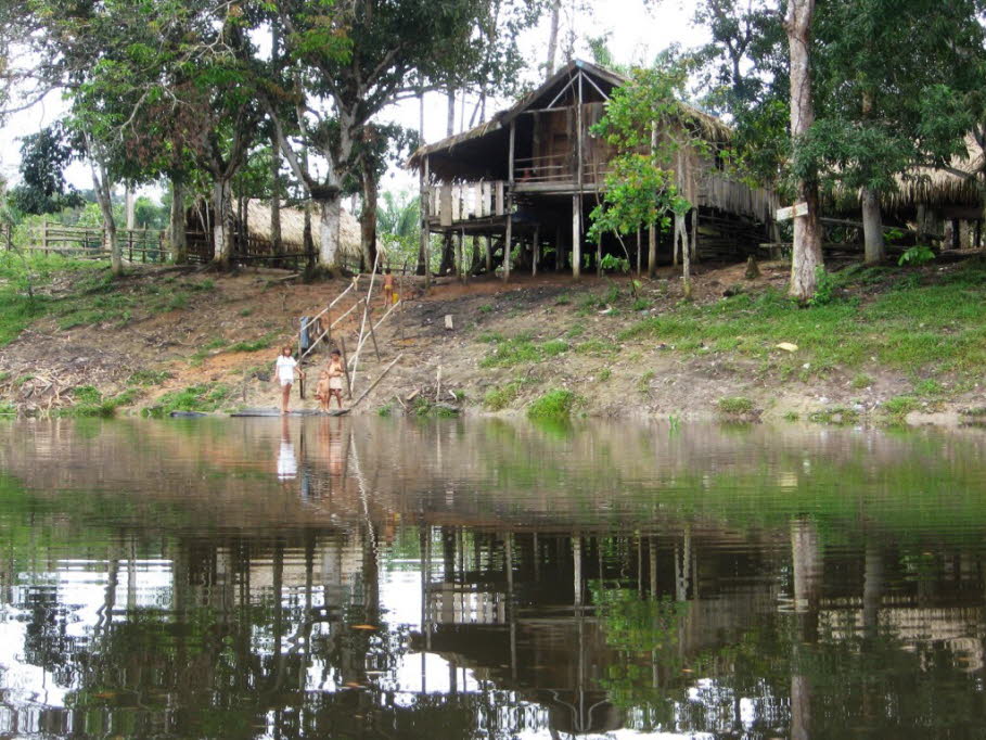 Leben am Amazonas 