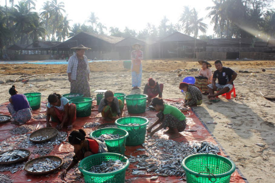 Ngapali Fischerhafen und Markt 