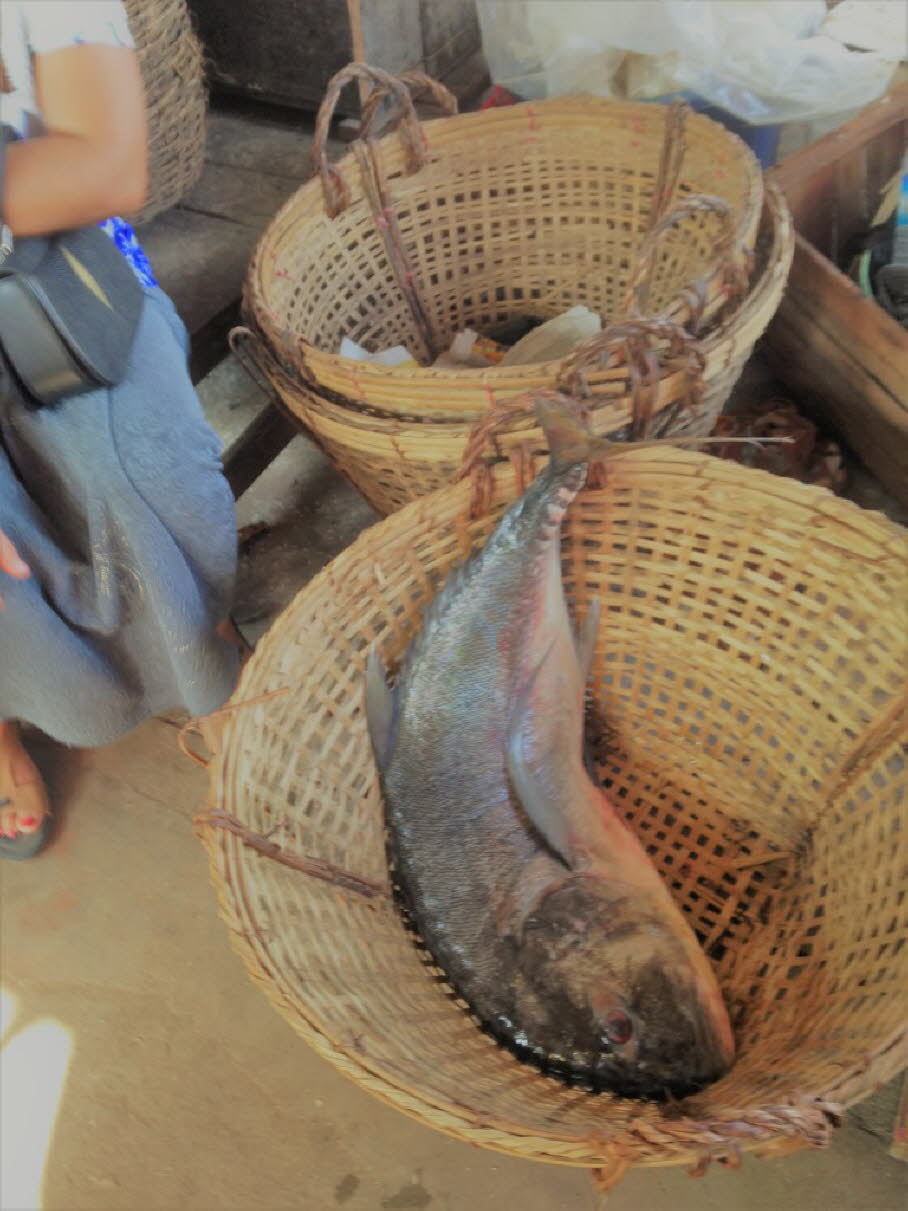 Ngapali Fischerhafen und Markt 