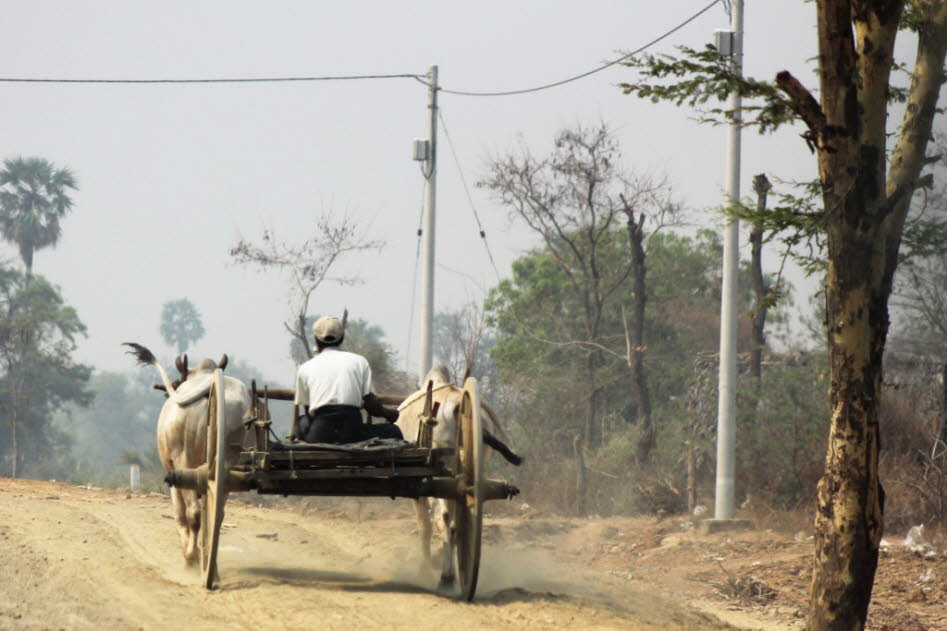 Ochsenkarren auf der Straße nach Bagan