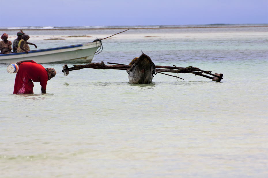 Oktopus-Fischerinnen auf Zanzibar