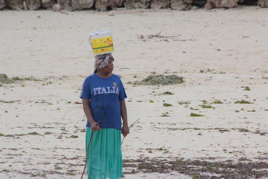 Oktopus-Fischerinnen auf Zanzibar 