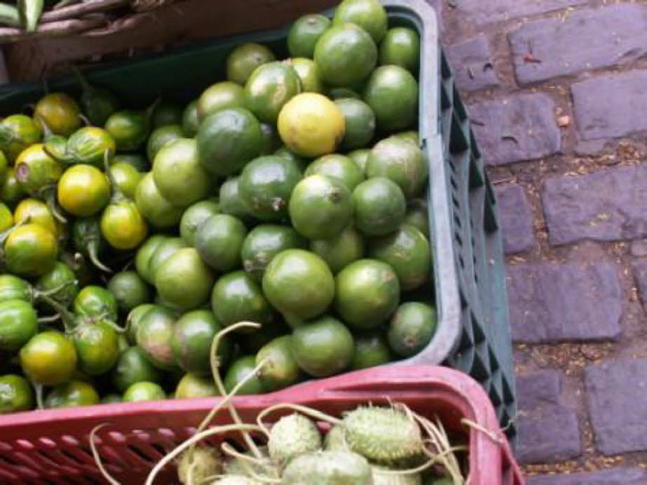 Markt in Salvador da Bahia: Guaven: Guave, (Psidium guajava), kleiner tropischer Baum oder Strauch der Familie Myrtaceae, der wegen seiner essbaren Früchte angebaut wird. Guavenbäume sind im tropischen Amerika beheimatet und werden weltweit in tropischen 