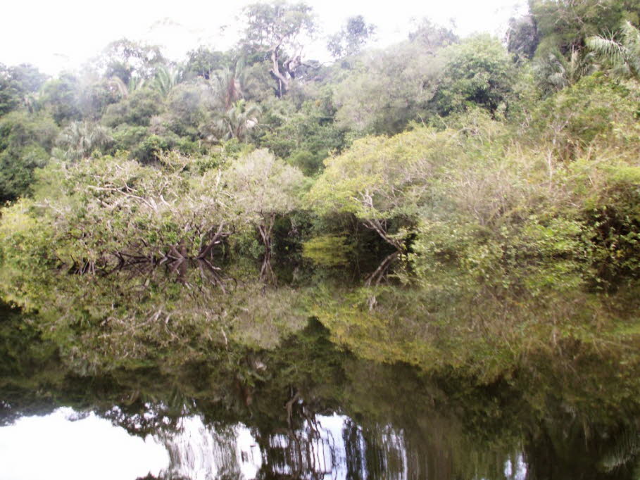Ein Fünftel des gesamten Süßwassers der Erde fließt durch den Amazonas, der  mit 6.400 Kilometer Länge von den Andenquellen bis zur Atlantikmündung ein gigantisches mäanderndes Flusssystem bildet. Da der Wasserspiegel je nach Regenzeit bis zu 20 Metern sc