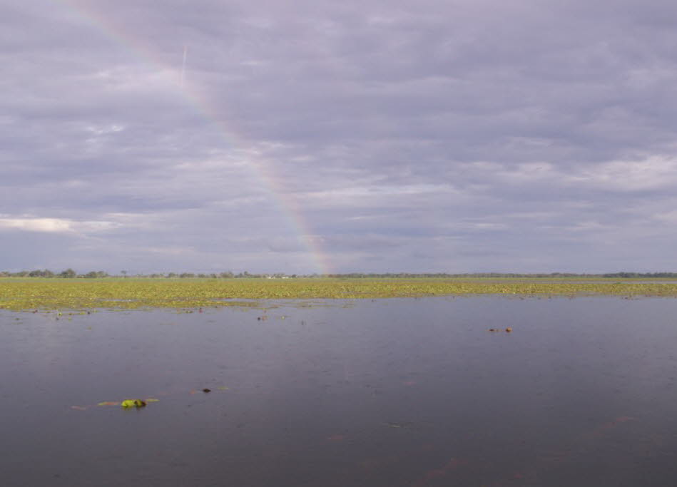 Das Pantanal ist eine Landschaft der Extreme. Wie ein riesiger Schwamm hält der obere Teil des Beckens von Oktober bis März Hochwasser zurück und bietet den Millionen Menschen, die flussabwärts leben, einen natürlichen Hochwasserschutz. Es entwässert dann