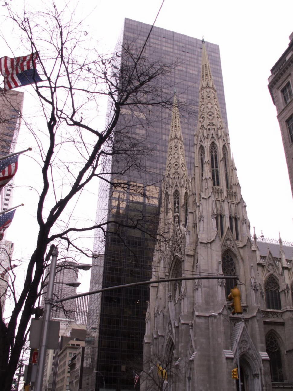 Die größte im neugotischen Stil erbaute Kathedrale in den Vereinigten Staaten ist die St. Patrick’s Cathedral. Sie befindet sich an der Fifth Avenue in Manhattan, zwischen der 50. und der 51. Straße, direkt gegenüber dem Rockefeller Center. Die Kathedrale