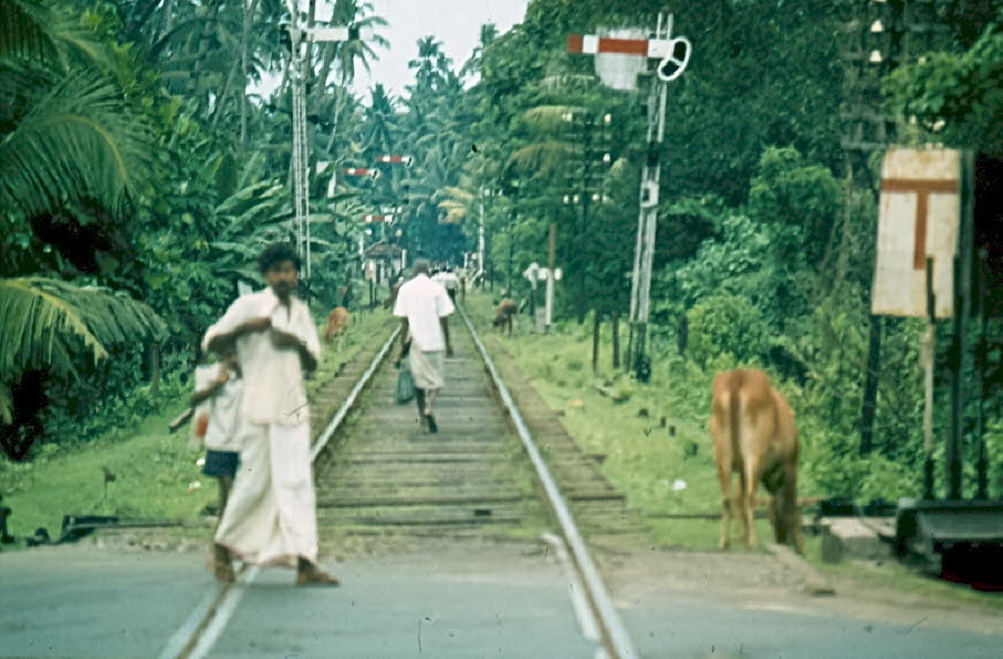 Sri Lanka 1981
