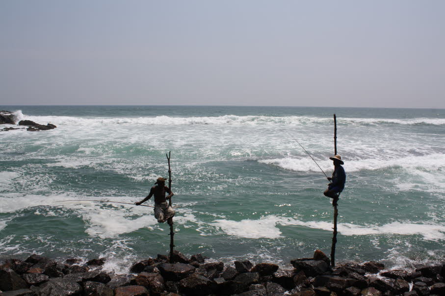 Stelzenfischer im Meer bei Galle, Sri Lanka
