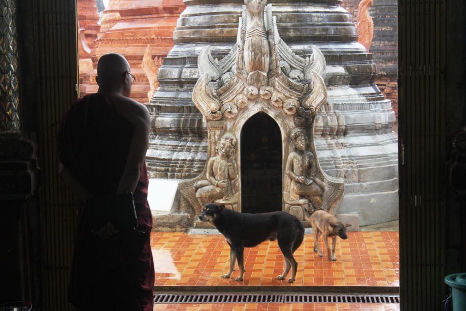 Stupas des Pagodenfelds der Shwe Inn Thein-Pagode - ein Mönch