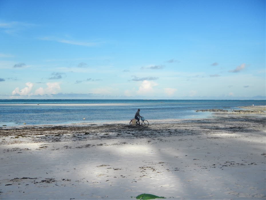 Zanzibar Ostküste Strand 