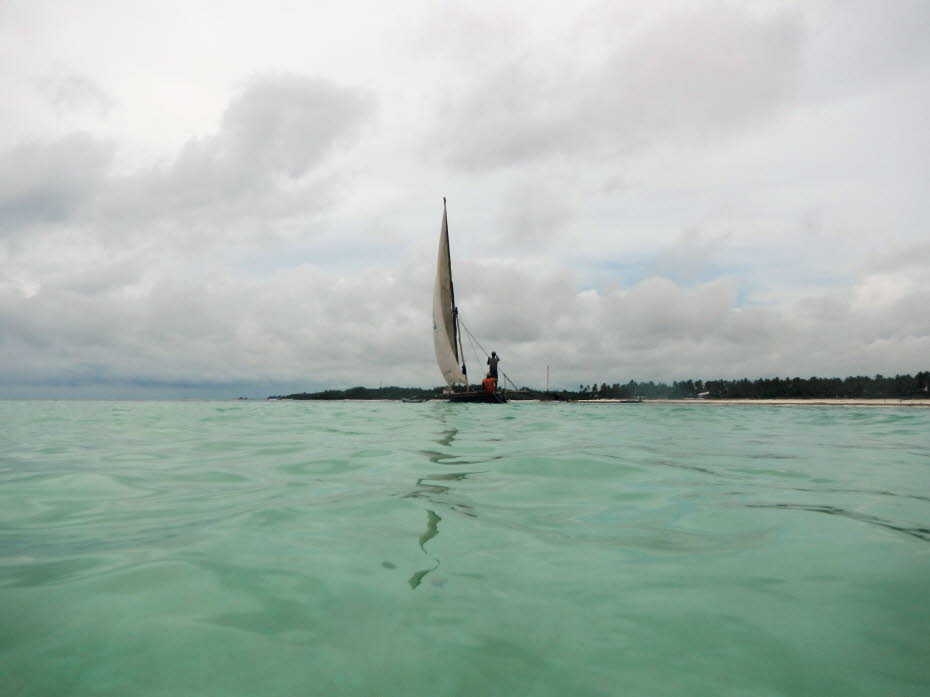 Eine Dau an Zanzibars Ostküste: Eine Dau, auch Dhau, ( englisch Dhow), ist ein in allen Anliegerländern des Indischen Ozeans zu findender Segelschiffstyp. Die Besonderheiten einer Dau sind ein bis drei einteilige Masten mit zum Teil ausgeprägtem vorlichem